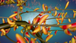 Woody Plant, Shrub, Vascular Plant, Honeysuckle, Tree, Clothespin