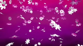 Snow, Winter, Season, Decoration, Card, Holiday