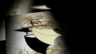 Mousetrap, Trap, Insect, Device, Spider, Arthropod