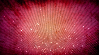 Shrub, Woody Plant, Vascular Plant, Light, Firework, Explosion