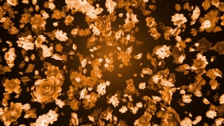 Chandelier, Lighting Fixture, Fixture, Texture, Pattern, Design