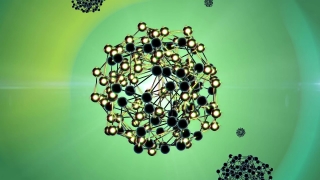 Elderberry, Drupe, Edible Fruit, Fruit, Produce, Food