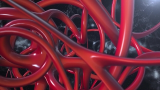 Device, Eel, Coil, Technology, Structure, Extension Cord
