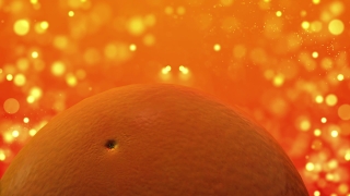 Citrus, Fruit, Edible Fruit, Mandarin, Orange, Tangerine