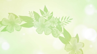 Floral, Clover, Flower, Leaf, Spring, Design