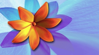 Island, Shrub, Flower, Decoration, Woody Plant, Ribbon