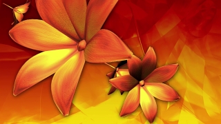 Petal, Flower, Yellow, Plant, Orange, Floral