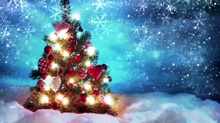 Decoration, Winter, Holiday, Snow, Star, Light