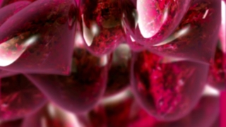 Shrub, Raspberry, Berry, Petal, Woody Plant, Fruit