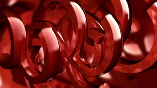 Coil, Structure, Rose, Coil Spring, Spring, Flower