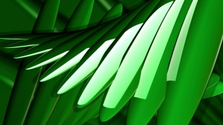 Light, Bamboo, Design, Fractal, Wallpaper, Digital