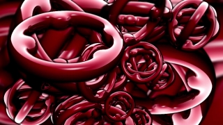 Scissors, Rose, Petal, Cayenne, Chili, Gift