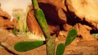 Asparagus, Vegetable, Food, Plant, Produce, Fresh