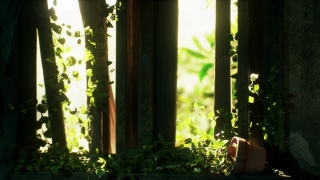 Windowsill, Sill, Forest, Structural Member, Tree, Support