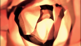 Candle, Rose, Care, Love, Face, Skin