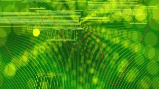 Pattern, Bamboo, Plant, Light, Design, Texture