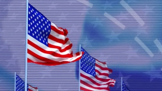Flag, Flagpole, Emblem, Pin, Staff, Patriotic
