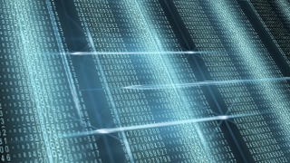 Window Screen, Screen, Protective Covering, Web, Digital, Covering