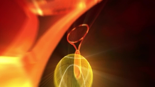 Swatter, Strainer, Filter, Honey, Close, Black
