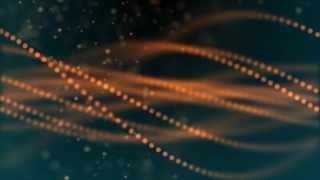 Light, Invertebrate, Design, Black, Art, Color