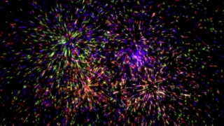 Sea Urchin, Echinoderm, Invertebrate, Colorful, Holiday, Celebration