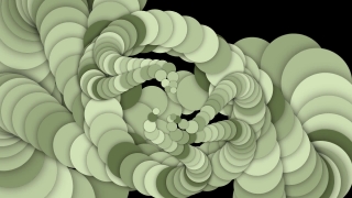 Floral, Pattern, Flower, Design, Art, Wallpaper