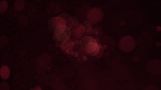 Light, Lighting, Color, Lights, Shiny, Night