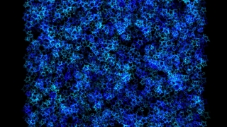 Mosaic, Pattern, Texture, Virus, Art, Design