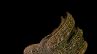Black, Burlap, Bangle, Shell, Decoration, Texture