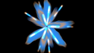 Bulbous Plant, Vascular Plant, Star, Joint, Plant, Design