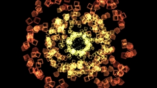 Gem, Design, Graphic, Art, Floral, Decoration