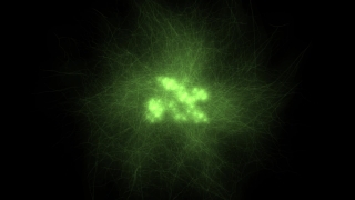 Laser, Optical Device, Device, Light, Digital, Fractal