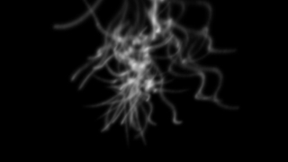 Smoke, Mystic, Light, Invertebrate, Jellyfish, Flame