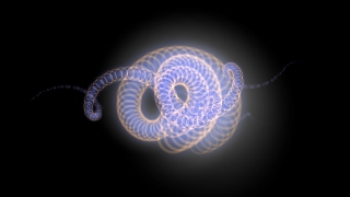 Coil, Structure, Mollusk, Chambered Nautilus, Invertebrate, Graphic