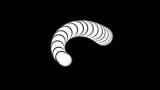 Light Bulb, Electric Lamp, Lamp, Chambered Nautilus, Source Of Illumination, Black