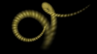 Invertebrate, Arthropod, Millipede, Nematode, Worm, Animal