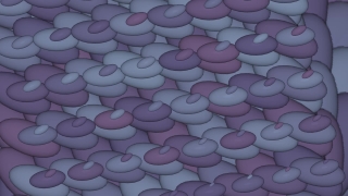 Shape, Pattern, Design, Art, Tile, Color
