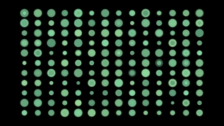 Polka Dot, Design, Decoration, Pattern, Texture, Wallpaper