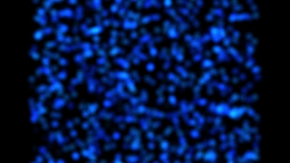 Pattern, Texture, Tile, Surface, Material, Net