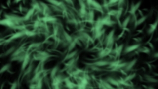 Vascular Plant, Plant, Aquatic Plant, Herb, Grass, Pattern