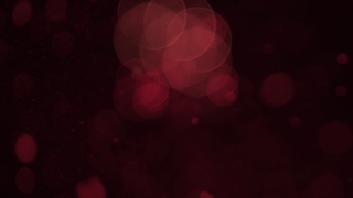 Jellyfish, Lighting, Light, Apparatus, Wallpaper, Lights