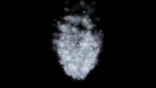 Gem, Black, Chordate, Animal, Smoke, Transparent