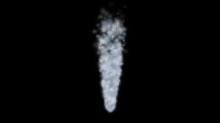 Chordate, Animal, Black, Organism, Night, Moon
