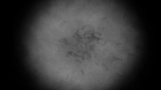 Space, Texture, Grunge, Moon, Wallpaper, Vintage