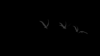 Moon, Black, Frame, Dark, Art, Light