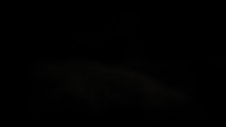 Smoke, Baby, Cloud, Fetus, Space, Vertebrate