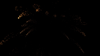Feather Star, Echinoderm, Invertebrate, Night, Celebration, Light