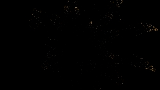 Decoration, Design, Black, Pattern, Art, Fir
