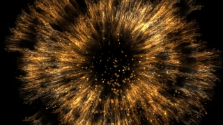 Dandelion, Herb, Fireworks, Night, Firework, Festival