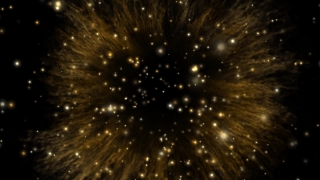 Dandelion, Kiwi, Firework, Light, Herb, Night